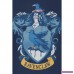 Ravenclaw Crest från Harry Potter BHBq8tOfU9