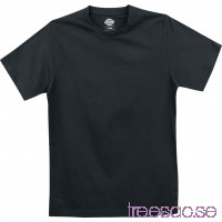 Multi Colour T-Shirt från Dickies r3sU4vqE48