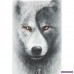 Wolf Chi från Spiral hgyDH3KD1Q