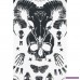 Animal Bones från Jawbreaker LAdPqIEyFQ