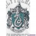 Slytherin - Quidditch från Harry Potter iXN51SchAl