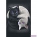 Girlie-topp: Yin Yang Cats från Spiral jvZcNMVdso